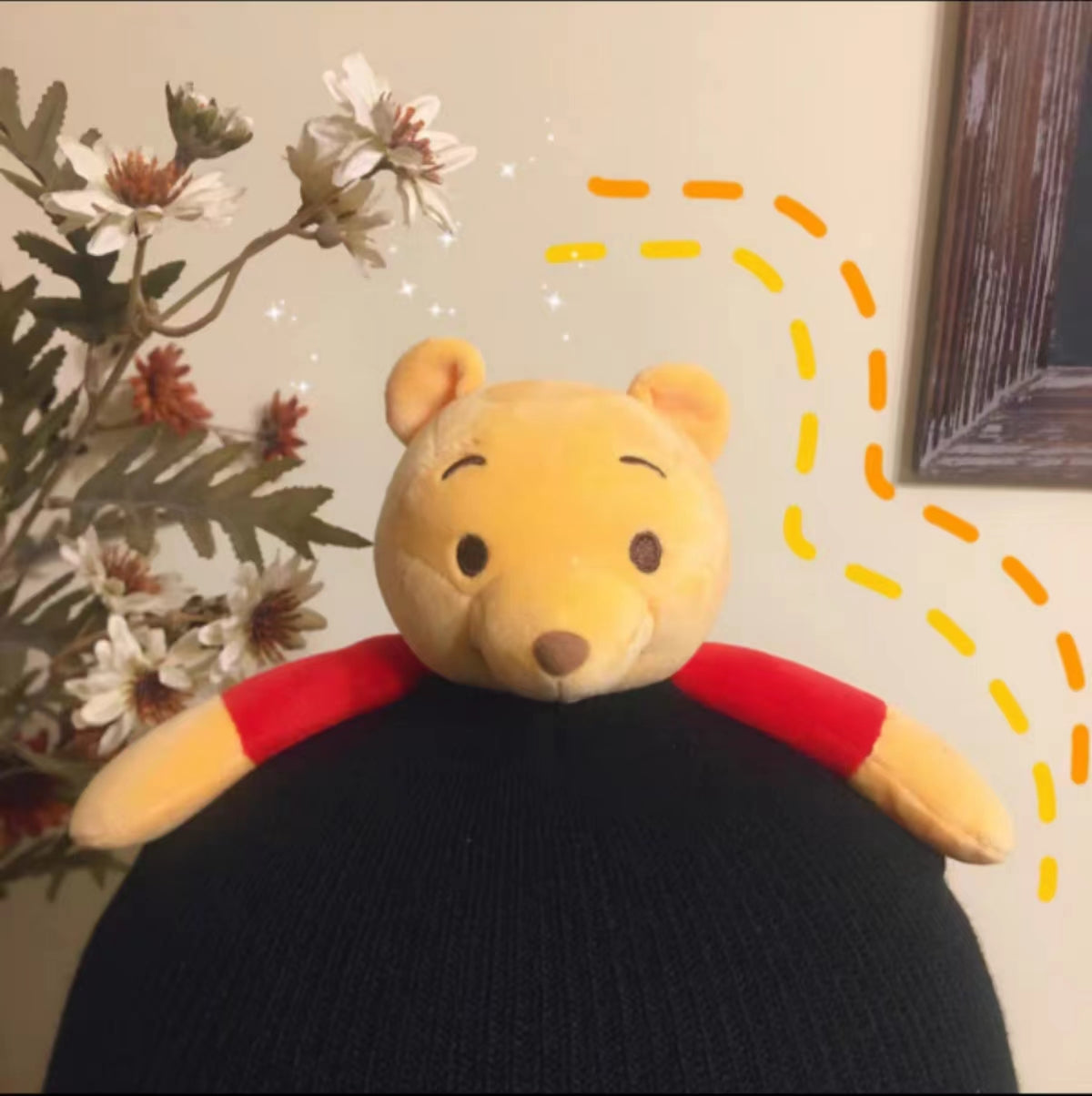 Winnie The Pooh Helmet Cover